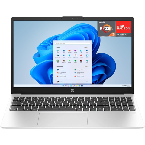 HP 255 G10 Notebook Dark Ash Silver